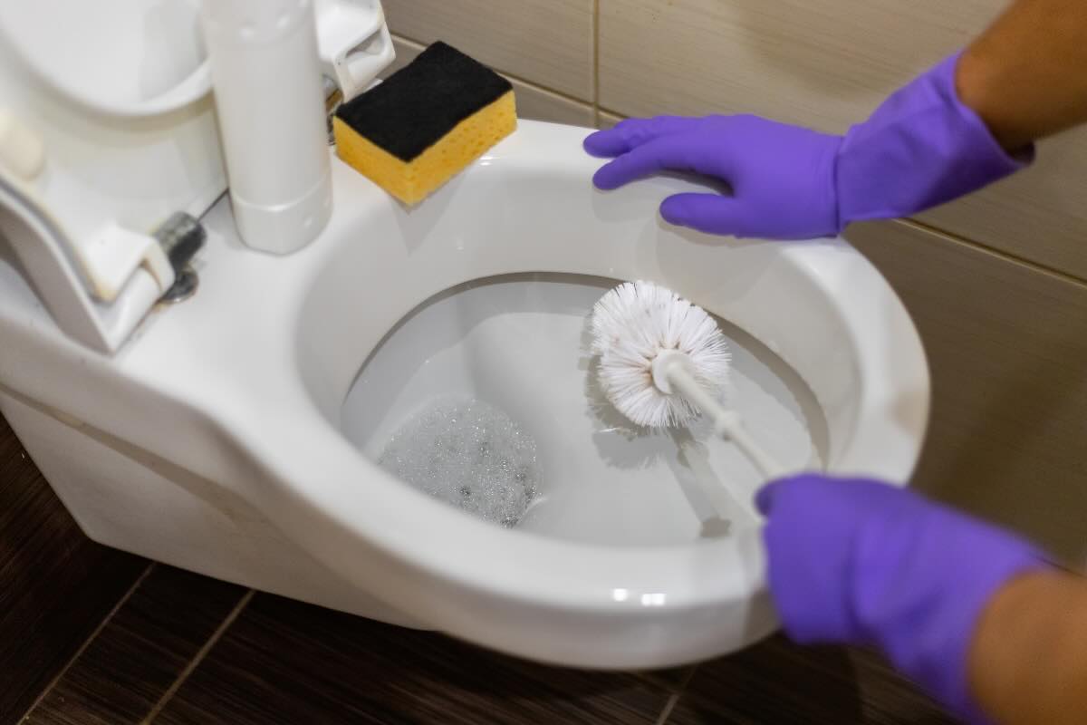 mani con guanti viola che puliscono wc