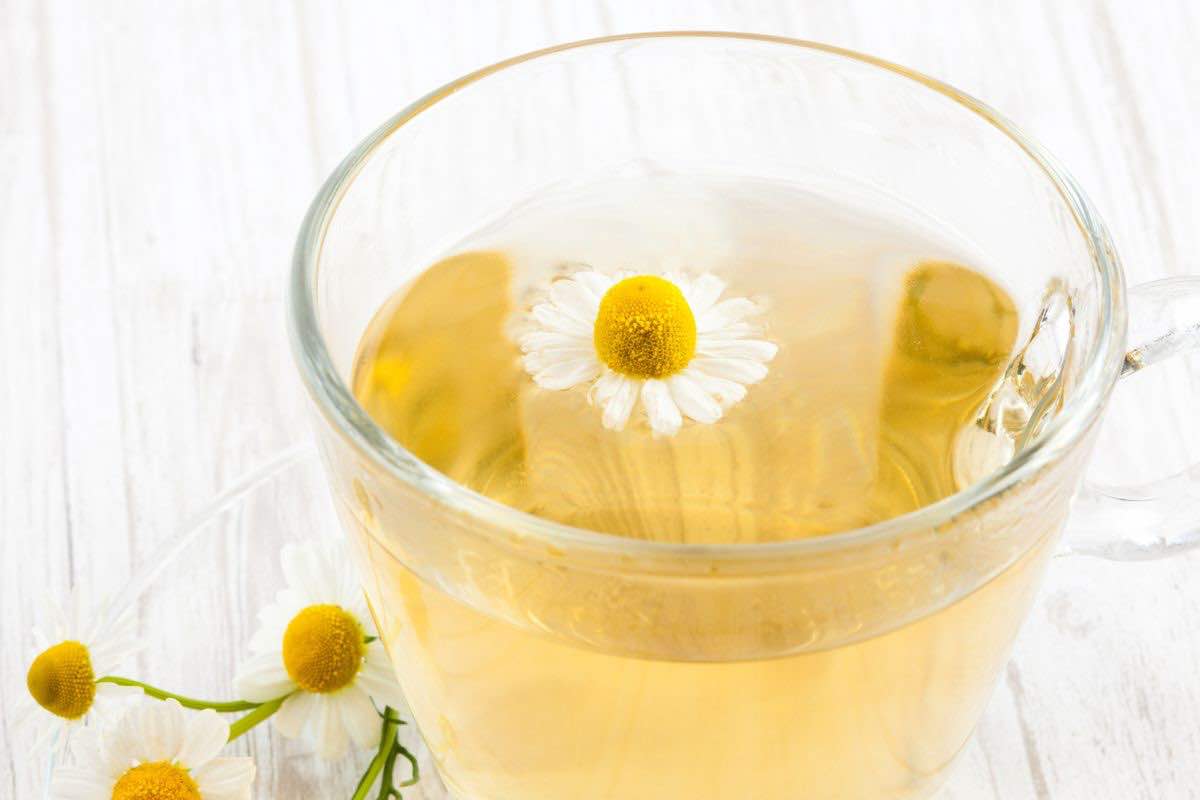 Infuso di camomilla