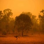Onda di calore Australia